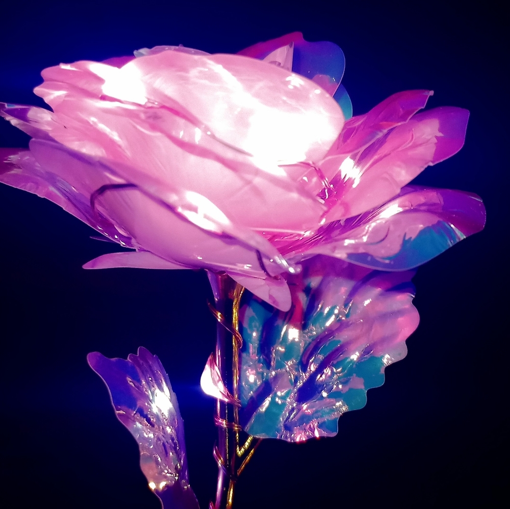 Flowers - Picture 6 of 7